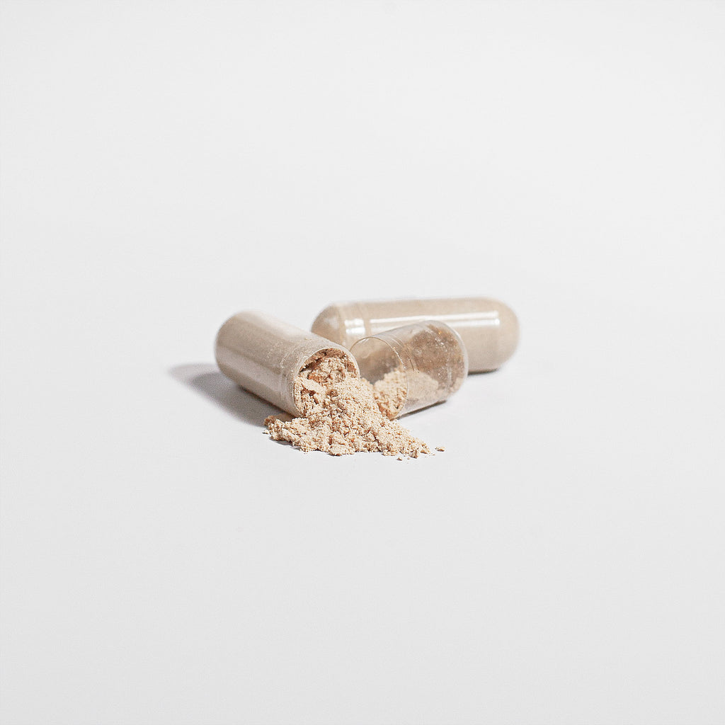 Lions Mane Mushroom Supplement Cognitive Support, Focus, Mood Boost, And Recovery For Athletes